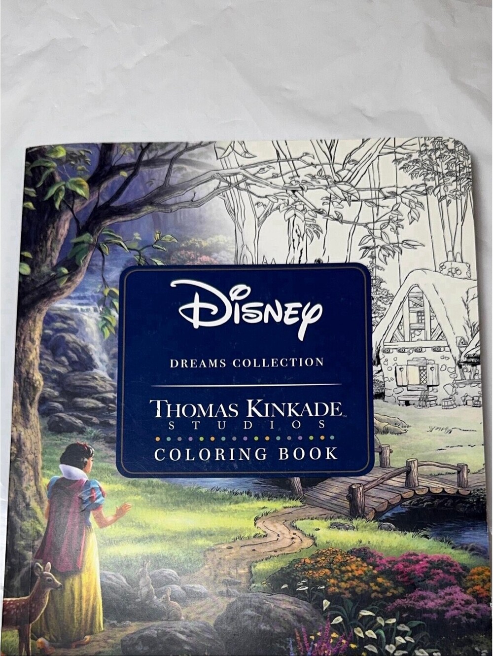 Thomas Kinkade Studios Disney Princess Coloring Book by Thomas Kinkade